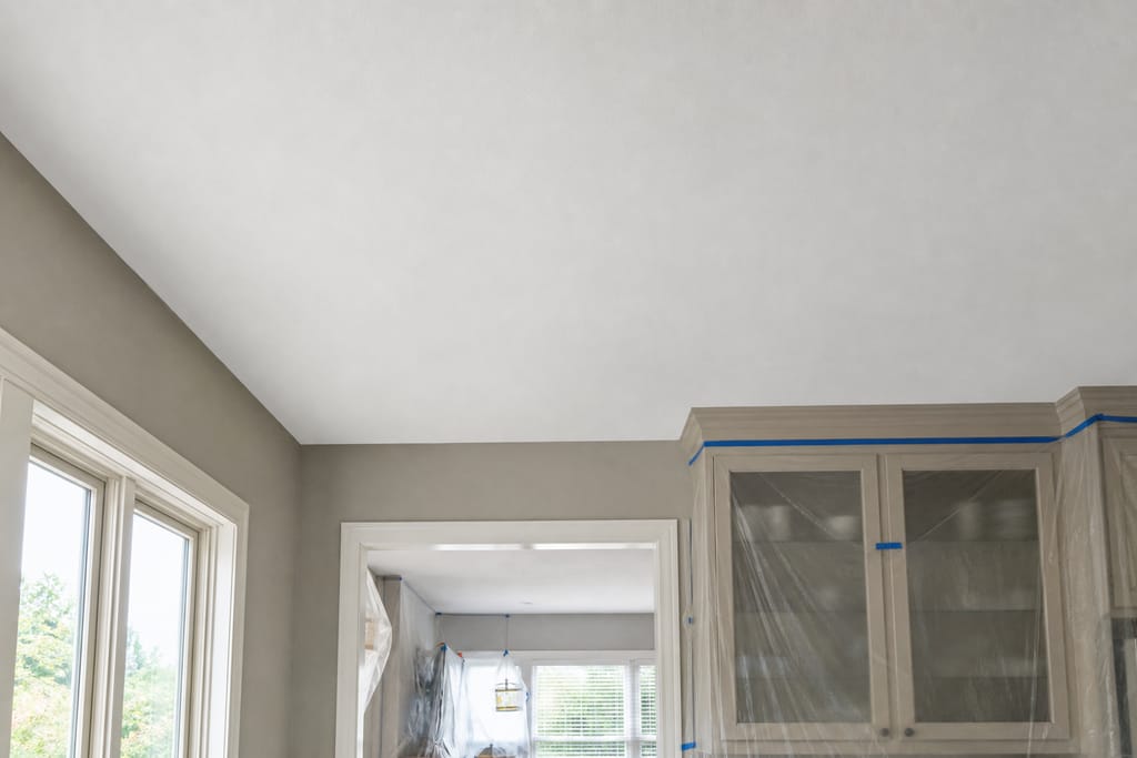 Texture or smooth finish photo
